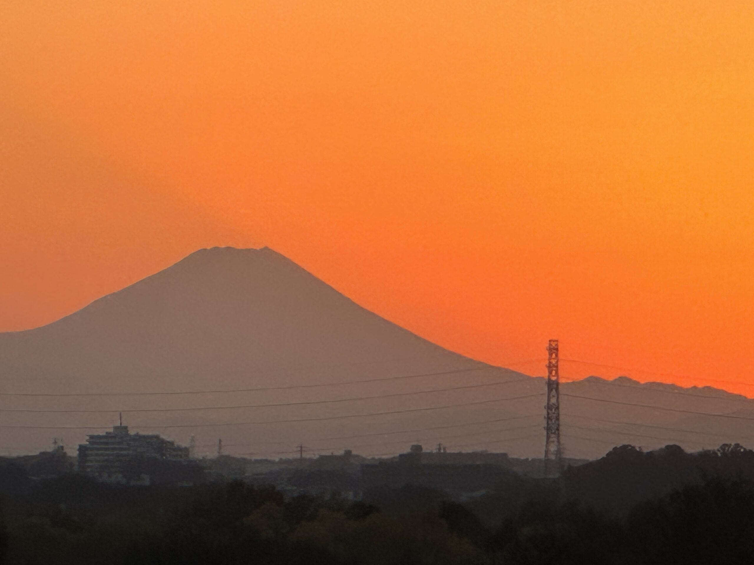 久々の2時間走