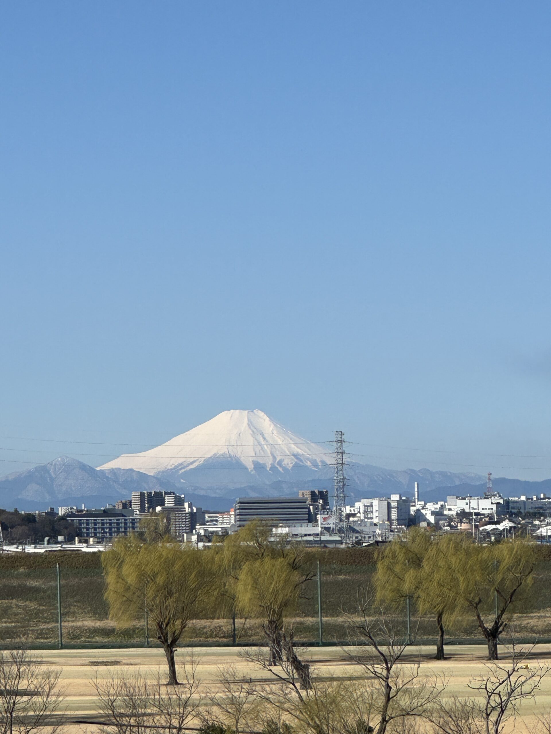 東京マラソン１週間後