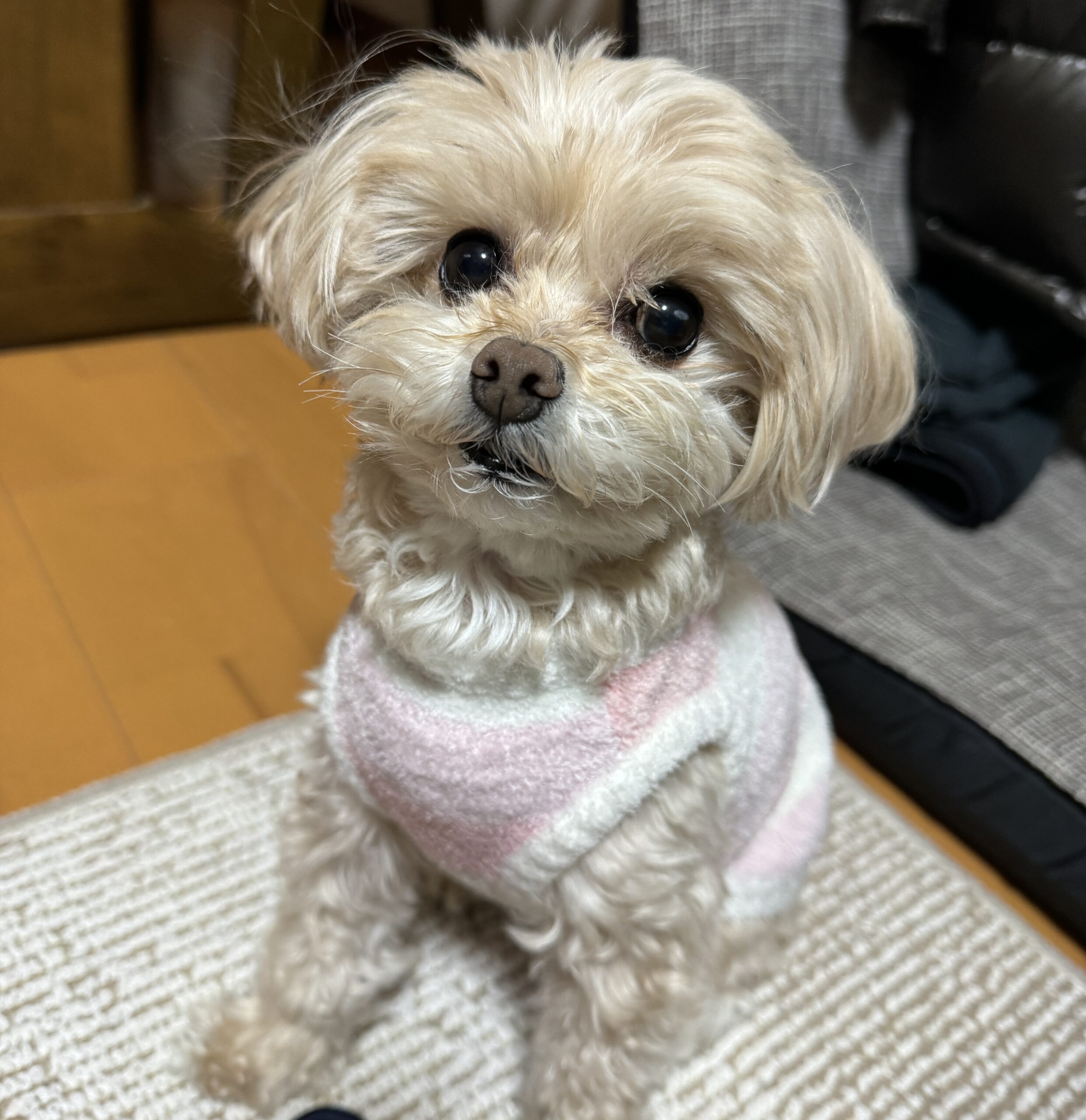 10年は長いようで短い