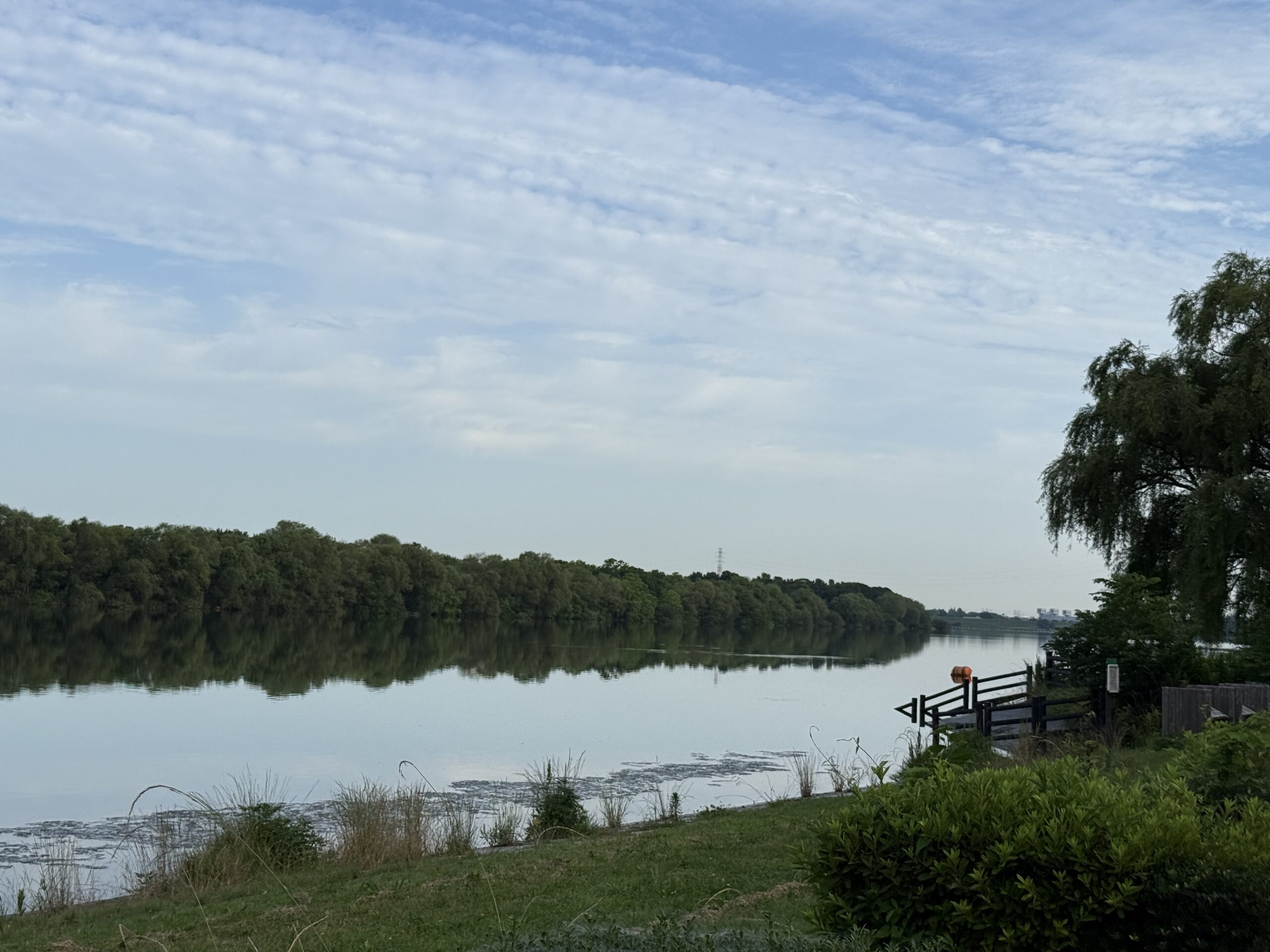暑さと湿気の中でも、体調良く走りきれた7月